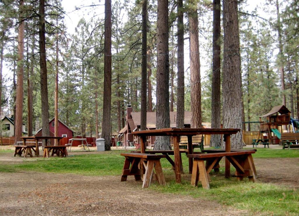 Majestic Moose Lodge - Coptic Village Big Bear Lake Ngoại thất bức ảnh