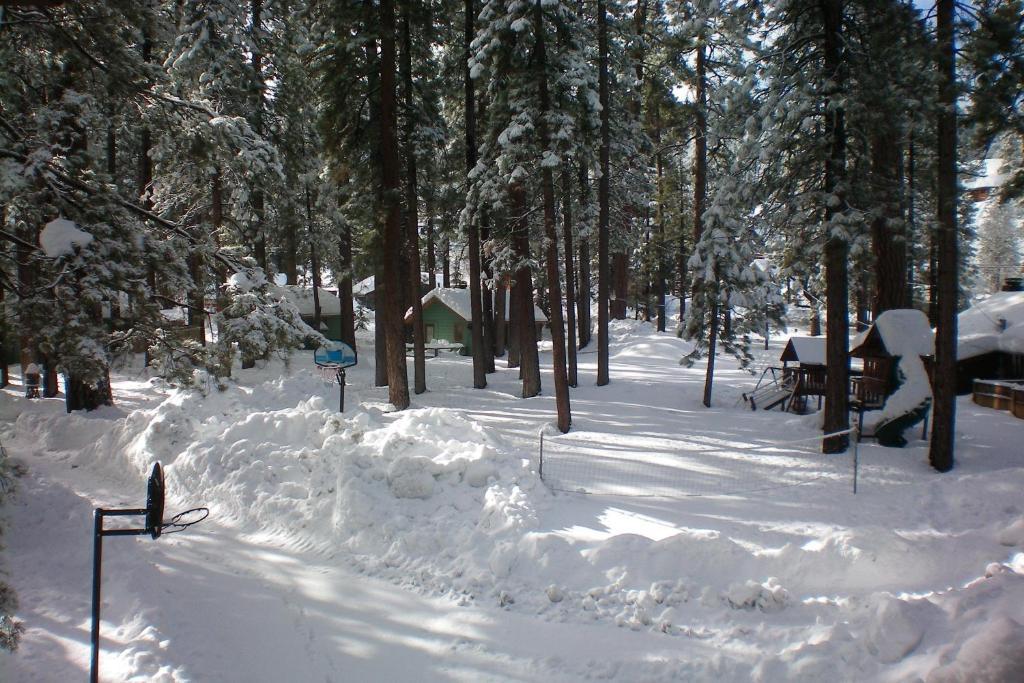 Majestic Moose Lodge - Coptic Village Big Bear Lake Ngoại thất bức ảnh